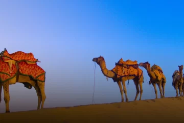 Golden Triangle Tour With Jodhpur and Jaisalmer