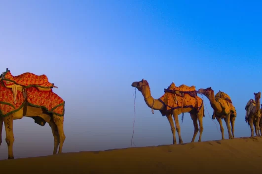 Golden Triangle Tour With Jodhpur and Jaisalmer