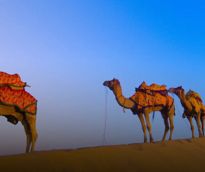 Golden Triangle Tour With Jodhpur and Jaisalmer